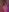 jannemary Cute Nudes Immagine  2