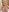 Anna_Love1 Sexy poses, topless, naked, bikini pics Pic 5