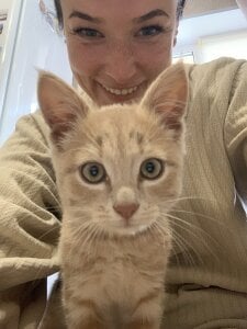 Alice_Amou a team of warmth and magic, filling every day with joy, purring and cheerful barking💖 Pic 5
