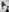 _anjum_ Black and White 👁‍🗨 Pic