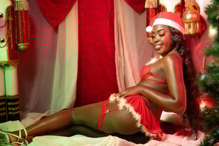 NaiaGils merry christmas 2025 slika