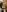 CandyShoopp: 😈 ( 5 фото)