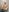 Porn_cornn Naked in public toilet 🚽😂 Pic 5