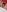 Naughty 😈 😈 de Sexy-Curly-Babe Fotos 3