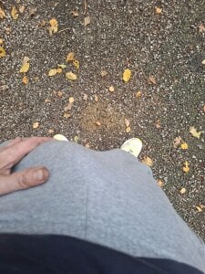 Promenade de Yoaannn  2 photos