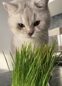 LisaSmiths Rest with my family Pic 8