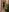 Naked meow de Kaia_Sunshine_Miss Fotos 7