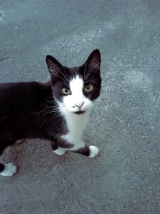 ellie_fire1 Its sunny day ☀☀☀ Pic 3