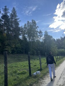 IveeranのPublicの 5枚の写真