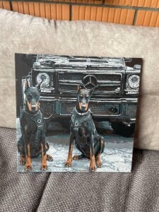 Lasly_Fox my paintings😎 Pic 5