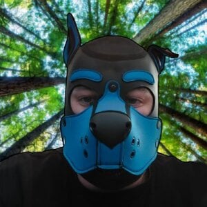 cub1Zor Public Fotka