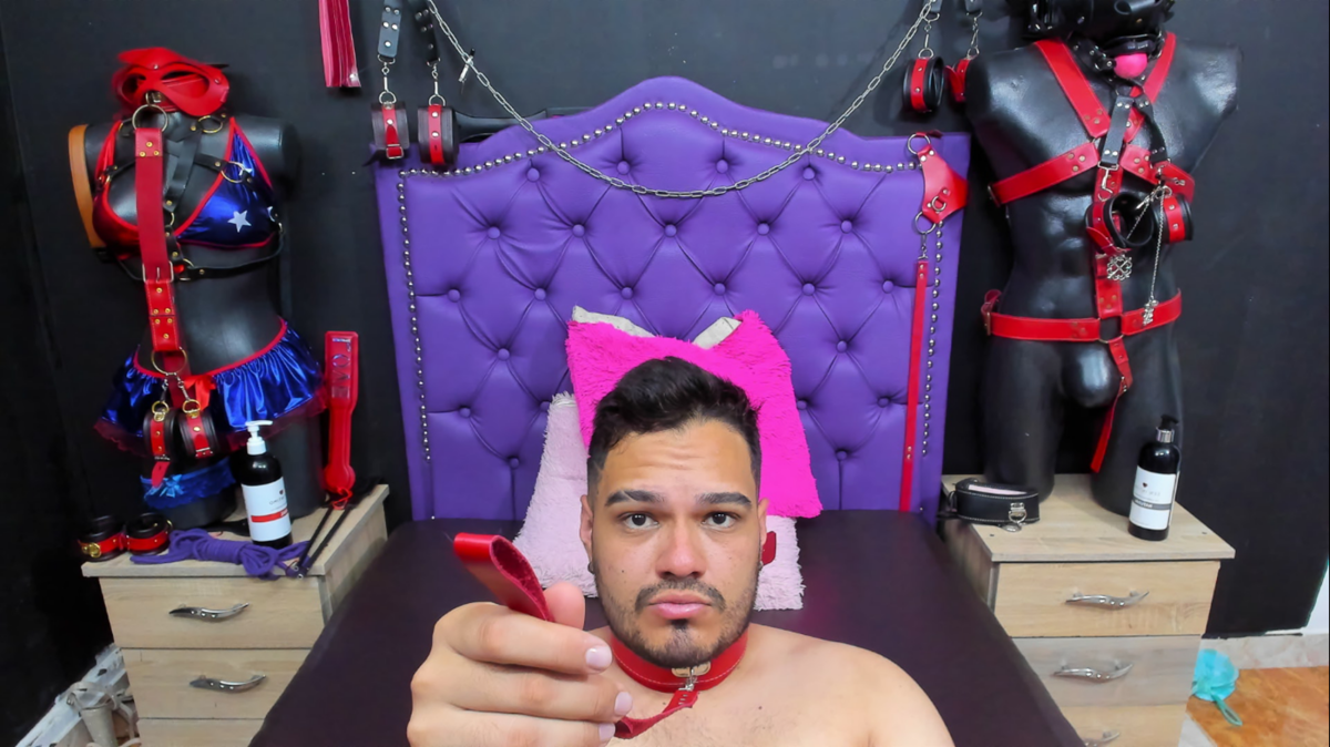 Stevens-dbs Poză populară 5974