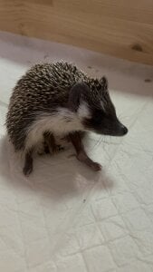 CassJonn Public  2ট ি ছবি