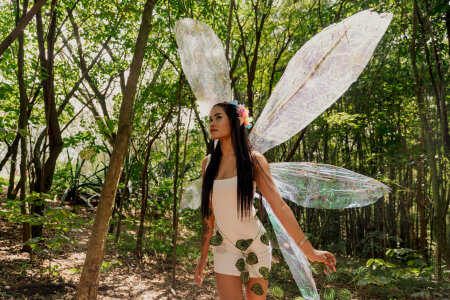 Karoll014 fairy whispers 🧚🏻✨🪄 зображення 3