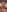 MsWetWetJones Pussy Pleasure Pic 6