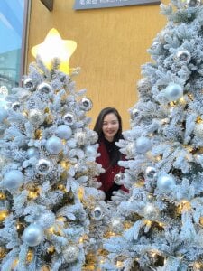 ViVian-Li 开心圣诞！ Hình 3