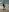 RoseFerrera SEX ON THE BEACH Pic 2
