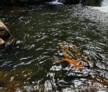kaorybliss WATER GIRL  2. fénykép