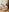 Radiants_two some new hot pics Jess Pic