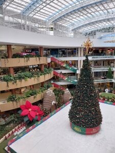 Nahiajhonson_ kullanıcısının Medellin albümü -  5 fotoğraf