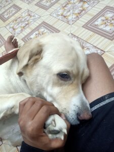 No_Username_007 Public Pic