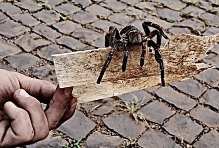 arroba-Go_Go: G_G 🔥 ( фото)