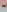 The_SnowwhiteeCRAZY CLOSE UPS: My pussy/ass/tits Stay close to my body, see soo close my creamy pussy, tight ass a图片 5