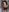 erotic in the bathroom de BabyRorry  photos XXX