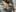 CurvyJasminexx Fan Priveladge photos Pic 6