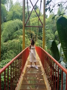 NathySweet Butterfly Garden 圖片 8