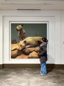 Victoria_romanox VACATION TIME Poză 9