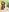 khloe_sr (ʘᴗʘ✿) Love me Pic 8