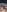 TheClittyComitteeDick Pics照片 2
