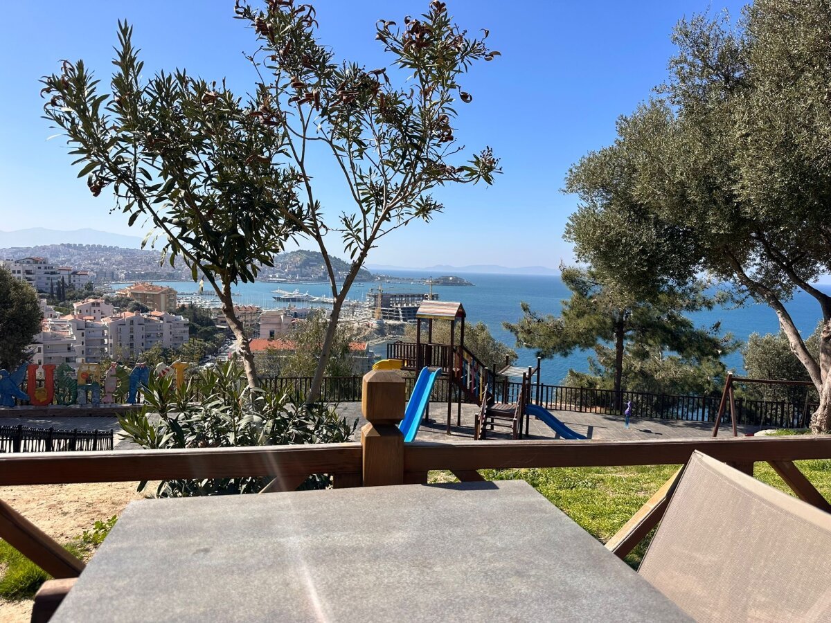 omertr12 熱門圖片 7727