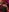 jessicaravageBig Tiddy Goth GF照片 6
