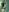 _Margot__SEXY Y HOT GIRL🔥👿🥵照片 6