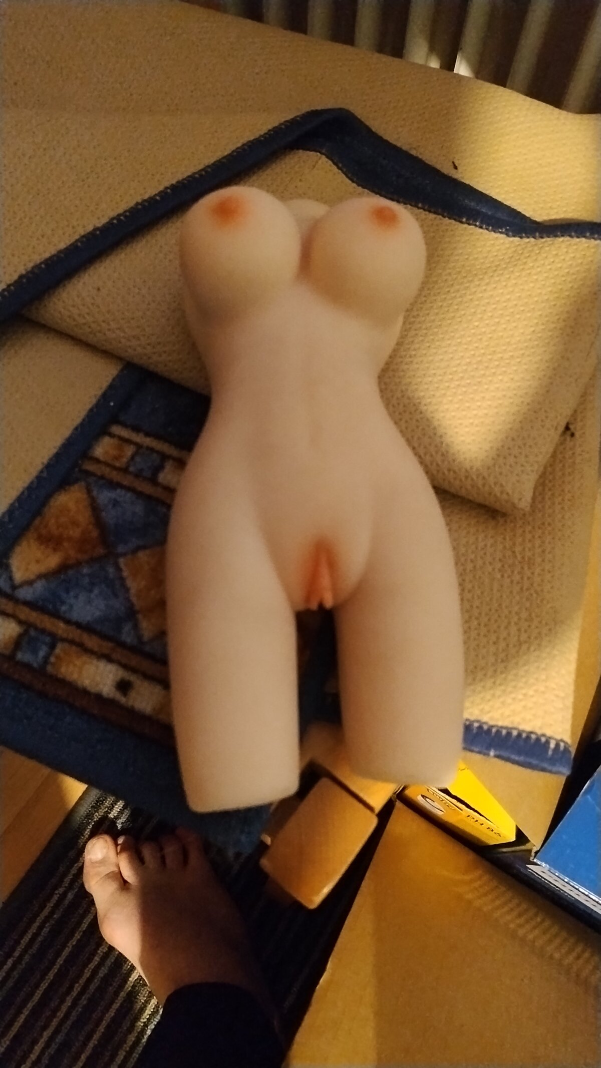 Baumhackel 热门图片 3438