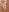 nadeeshakodituwakku Nadeeshas nudity Photo 5