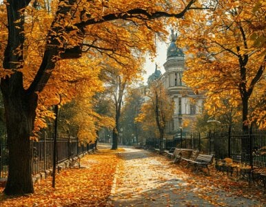 NecoleRemondini Magic autumn 🍂 Pic 5