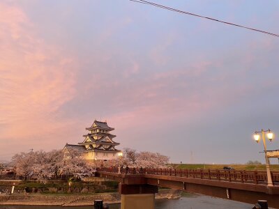 AIAI-chiiiini旅行行った時の。图片