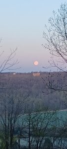 schmidtler35 Public Fotka 7