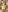 Venus_Williams_ MERRY CHRISTMAS 2024 Pic 6