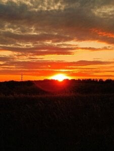 my life de keuli_li  Imagens