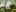 _Soo_dreamy_Elf's Feet on a Mossy Tree图片