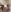 Selvaggia_official83 Selvaggia in tutte le salse Pic 8