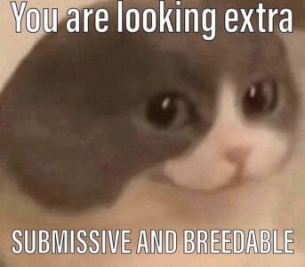 So_audrey memes! Pic 3