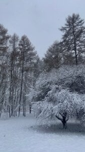 LaveraMeling: my world ( 2 фото)