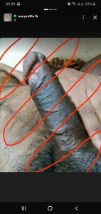 Shanubest Public Foto