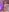 ScarletColes Have you saw a naked..."bunny" before? 🥵 Pic