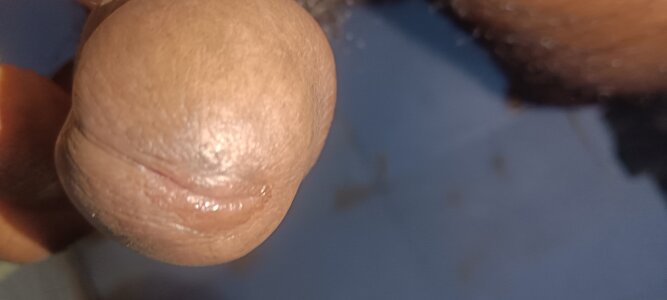 NobleWhiskers490 Public Pic